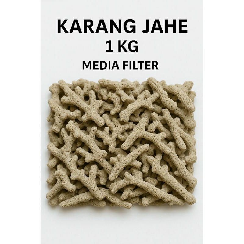 karang jahe 1kg termurah..cocok untuk media filter dan hiasan aquarium