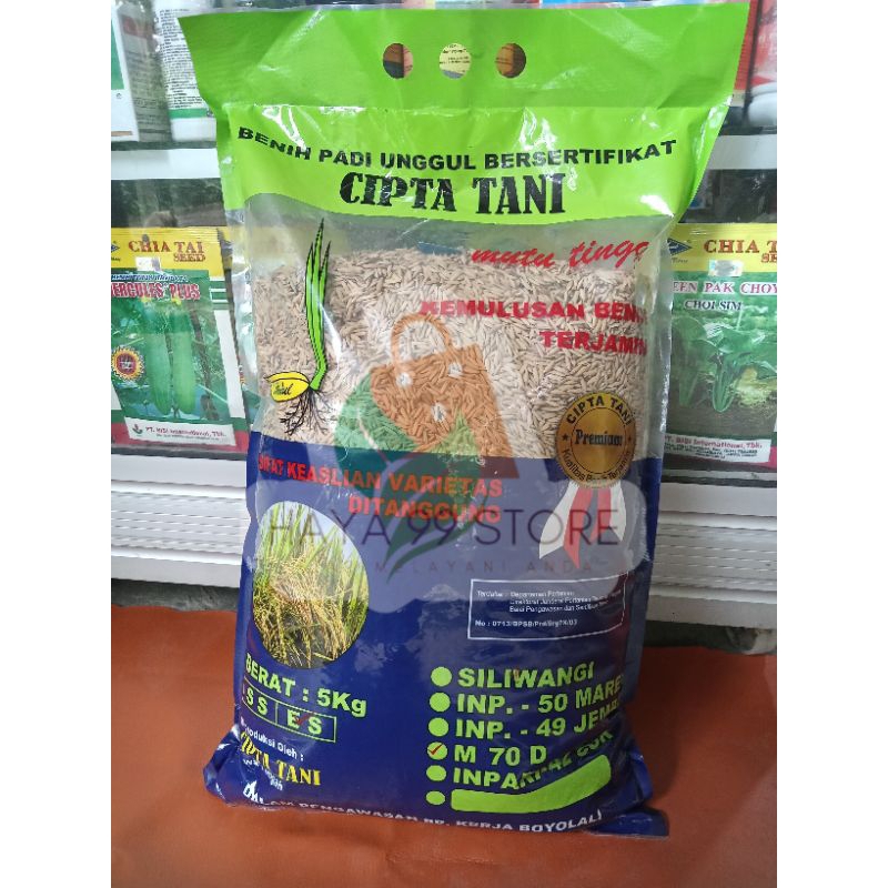 BENIH PADI M70D CIPTA TANI PREMIUM