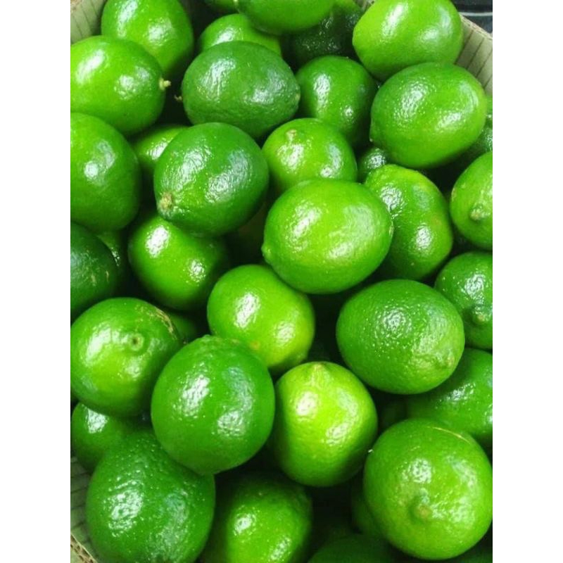 

Jeruk Nipis 1 Kg Asli Jember.