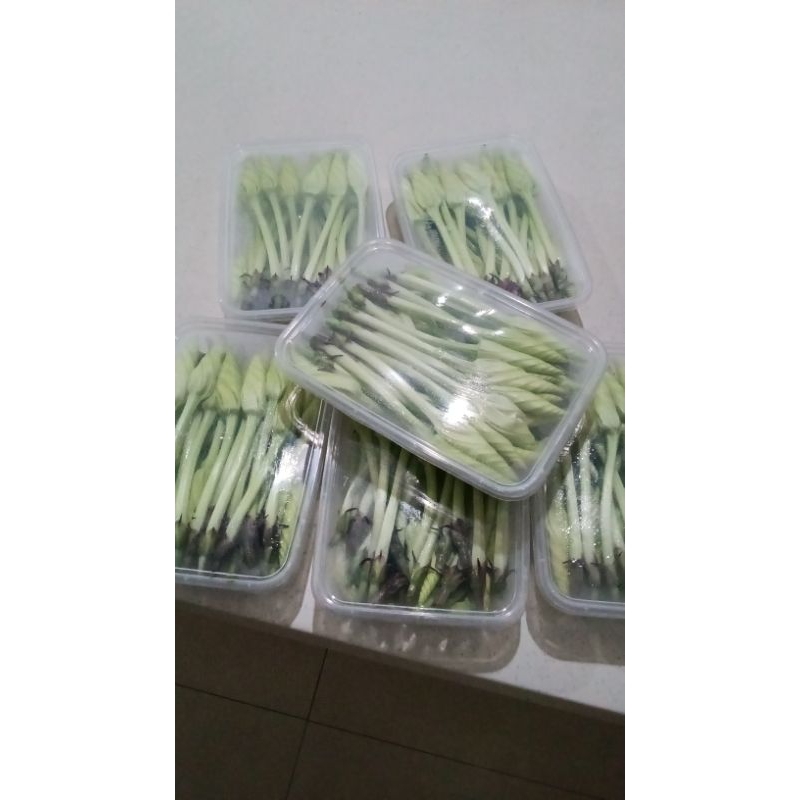 

sayur sedap malam/camchai /cam chai