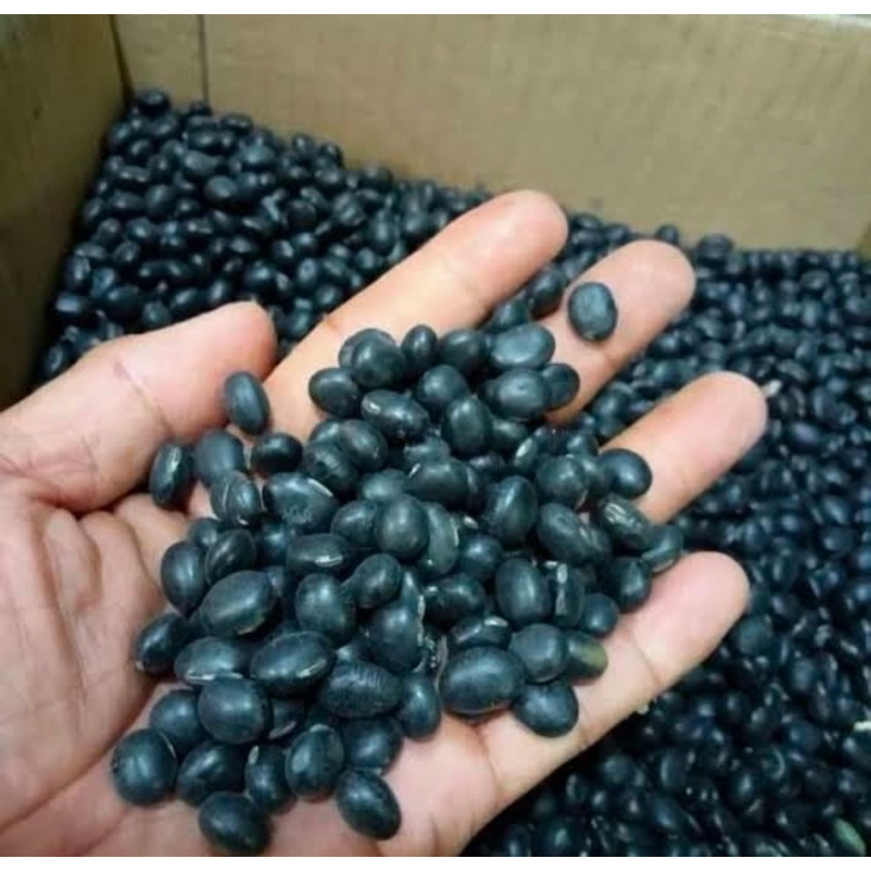 

2kg KEDELAI HITAM KUALITAS TERBAIK TERMURAH