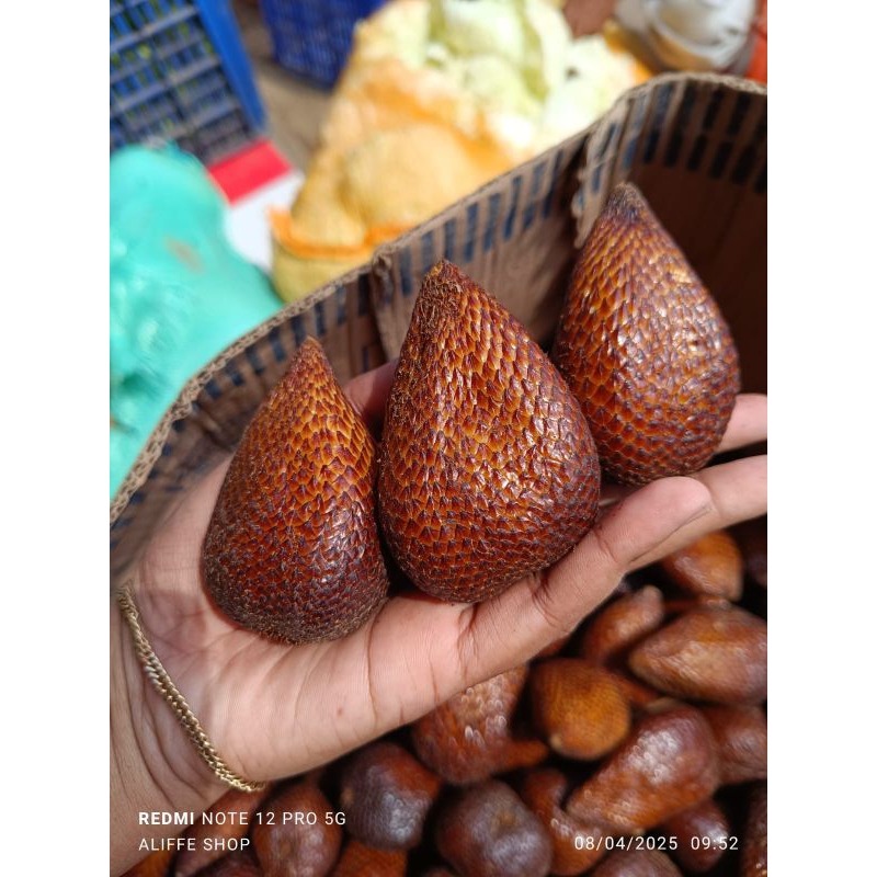 

1 KG Buah Salak