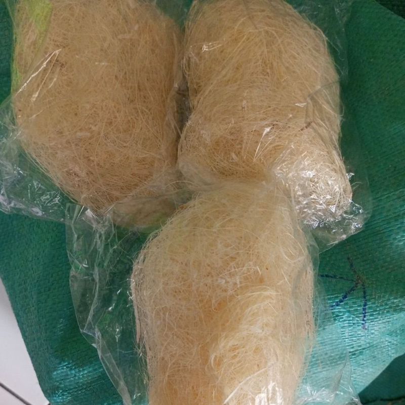 SERAT NANAS SARANG BURUNG KENARI