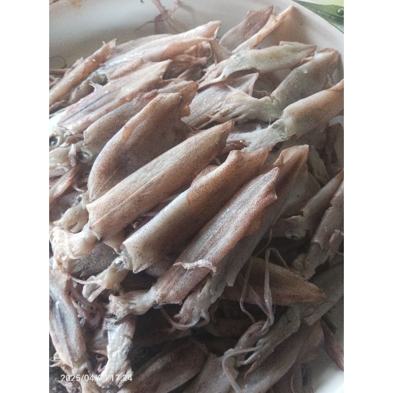 

Cumi kering