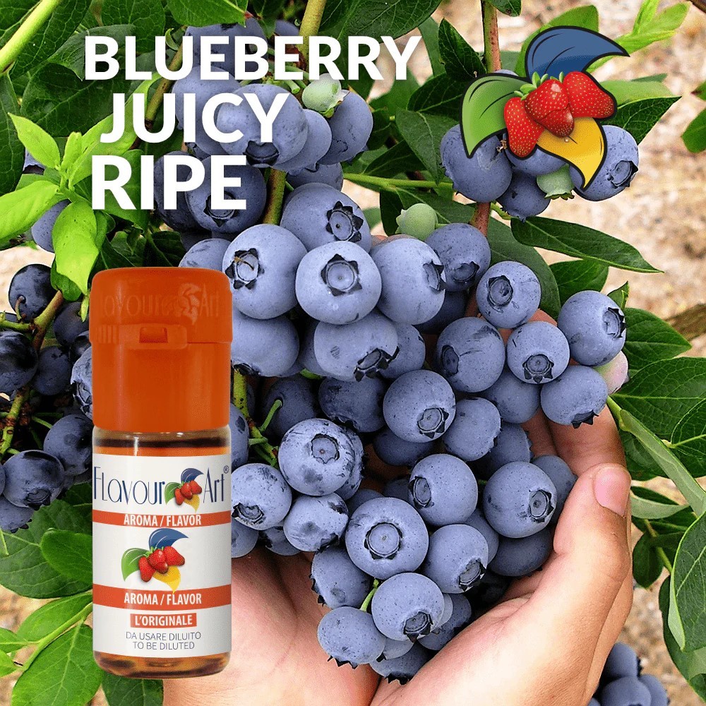 

FA Blueberry Juicy Ripe Flavor 30ml Essence DIY