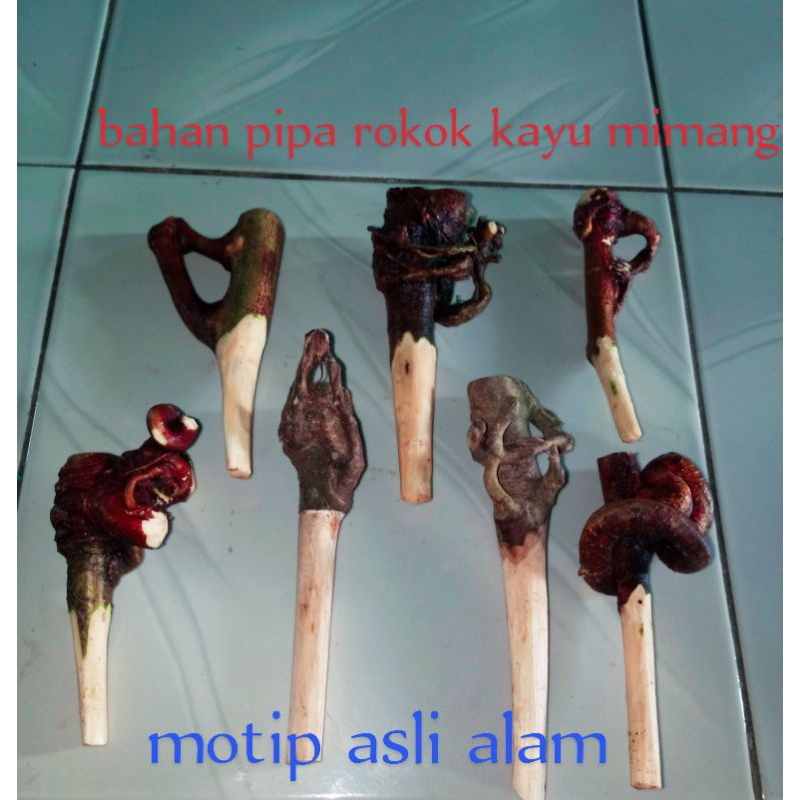 bahan pipa roko cangklong roko kayu mimang