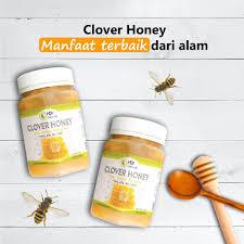 PROMO Original HDI CLOVER HONEY 500 Gr 2btl +proliz