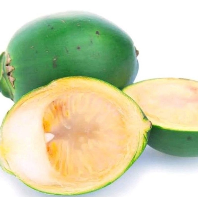 

promo buah pinang muda segar 1kg