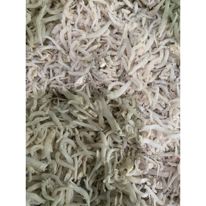 

ikan teri nasi khas medan