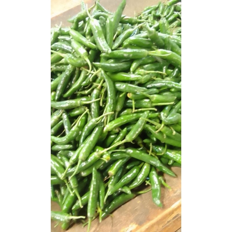 

Cabai TW / ijo gede 250 gr