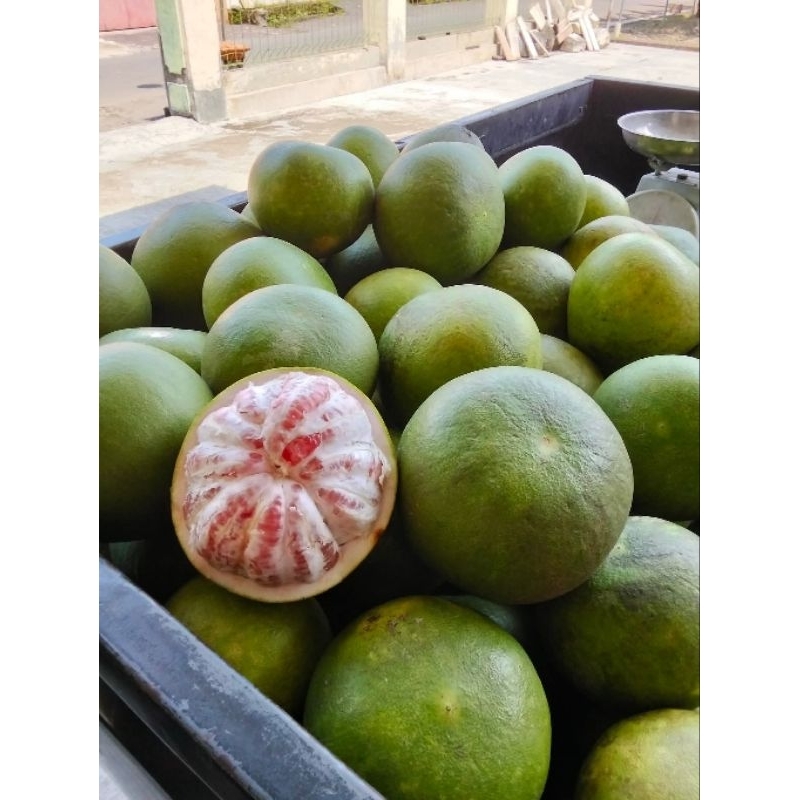 

jeruk pamelo madu muria manis tanpa biji berat 700g-900g