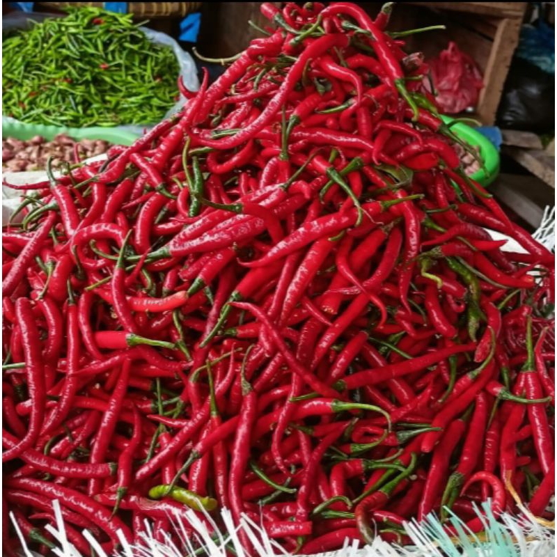 

Cabe merah