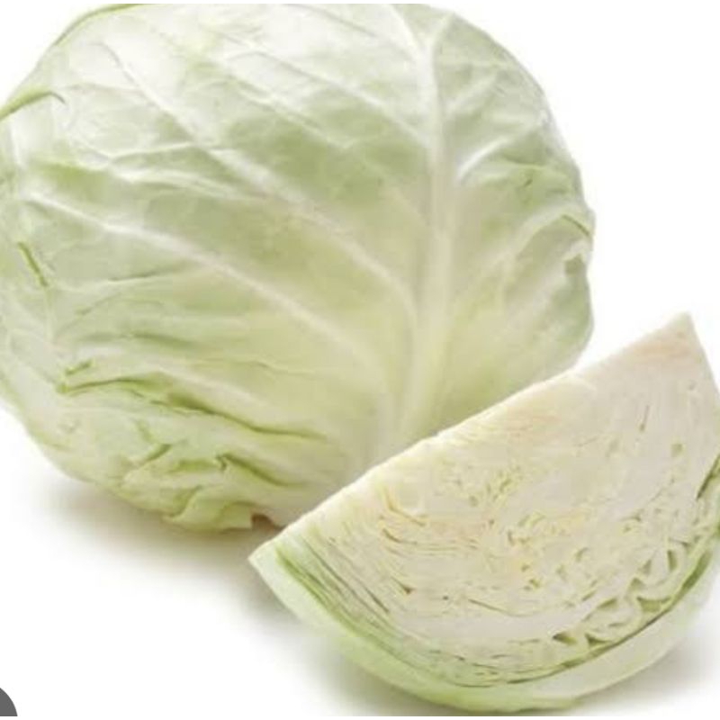 

kol kubis besar segar bagus fress 1kg