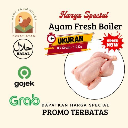 

AYAM BOILER FRESH (HIDUP) UKURAN 0,7 - 1,5KG