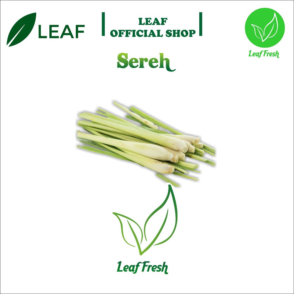

SEGAR SEREH REMPAH BY LEAF FRESH