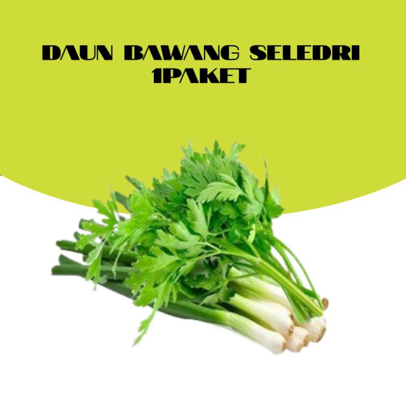 

DAUN BAWANG SELEDRI 1PAKET