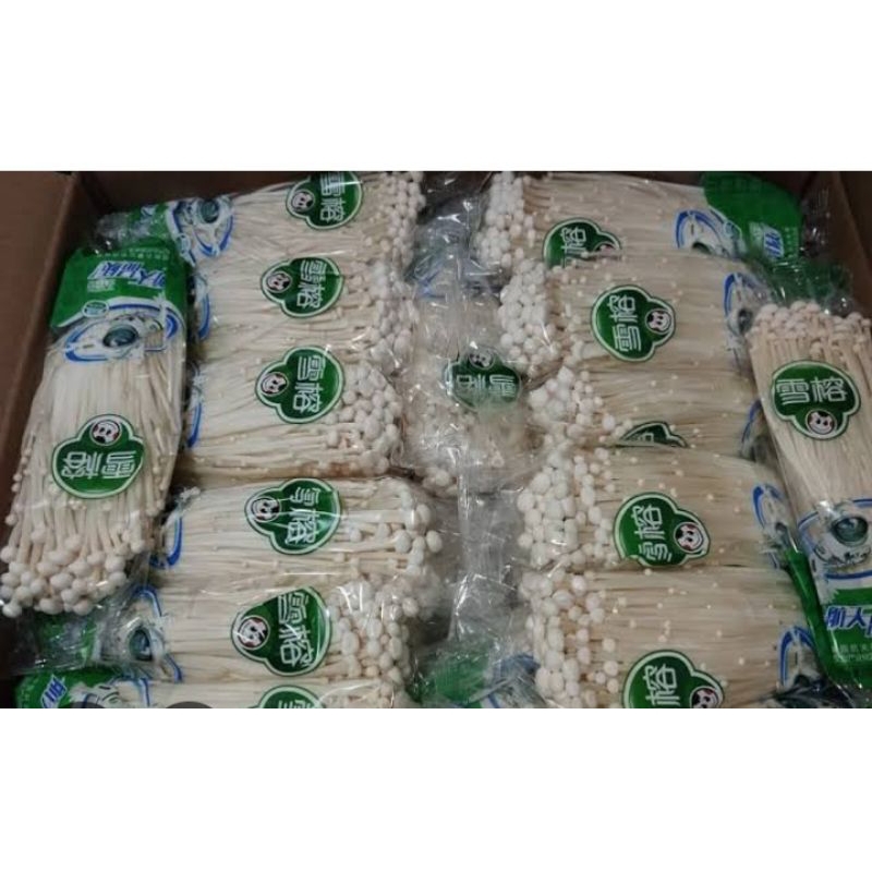 

jamur Enoki per kerdus murah