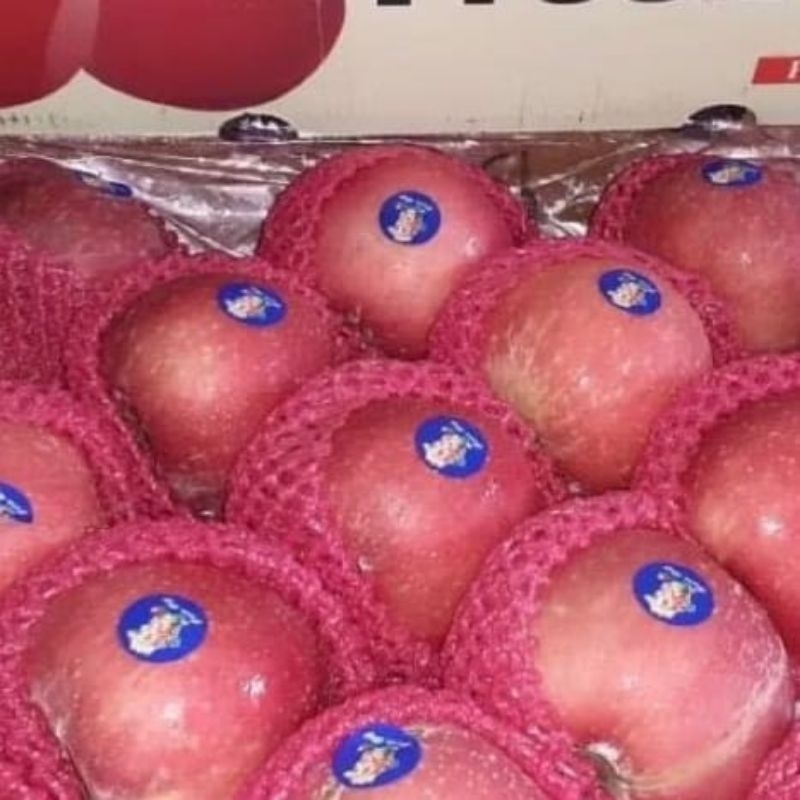 

APEL FUJI RRC manis Garing tidak gembus