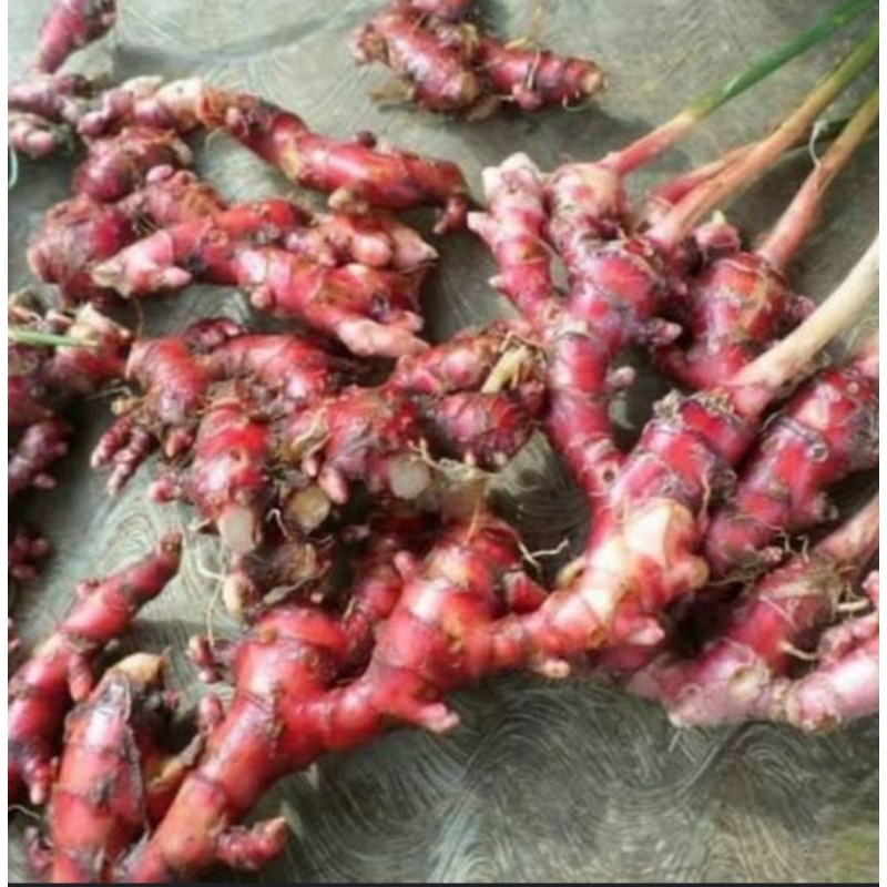 RIMPANG JAHE MERAH 50gram