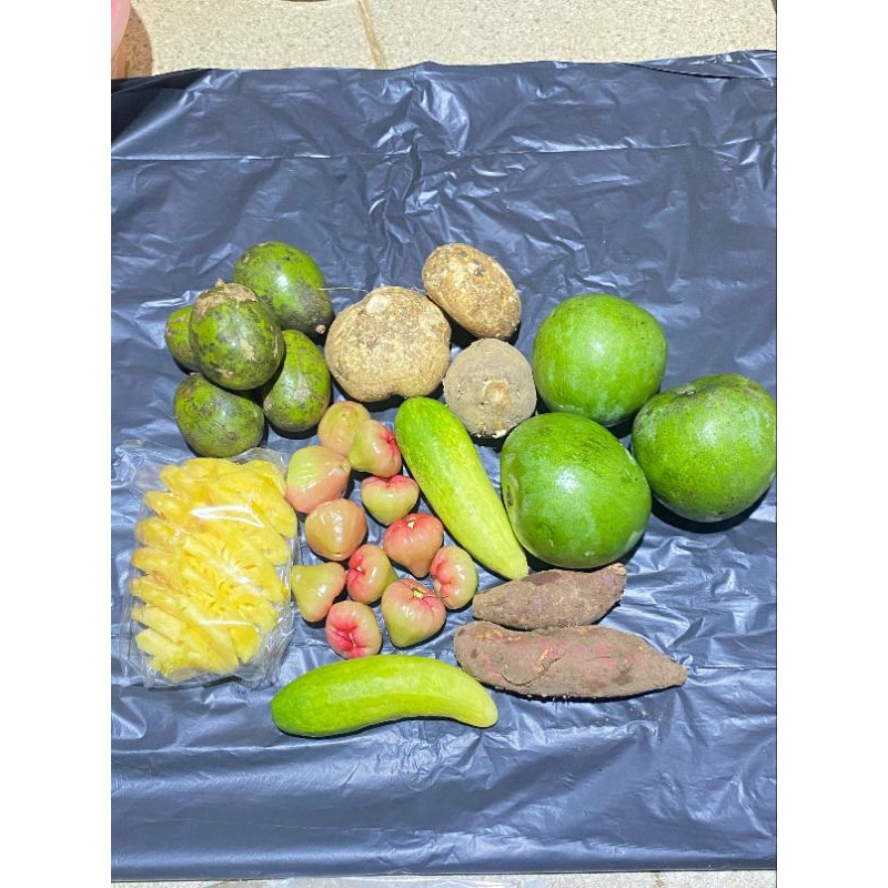 

Buah Rujak Paketan Sedang || Paketan rujakan ber3