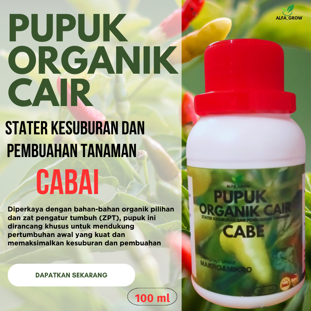 pupuk organik cair tanaman cabai pupuk cabai masa pertumbuhan pupuk poc tanaman cabai