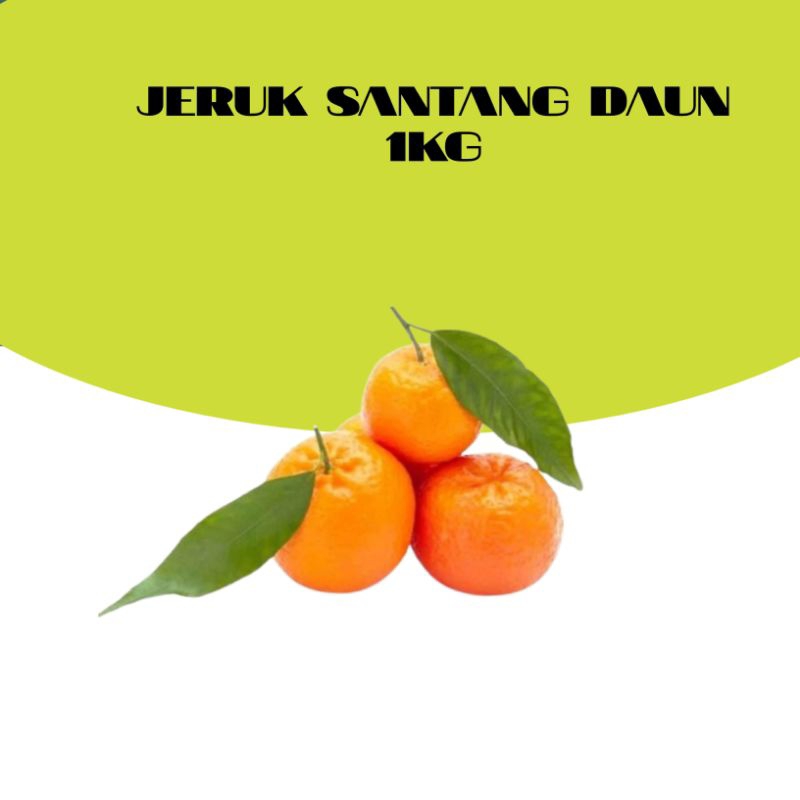 

JERUK SANTANG DAUN PER 1KG