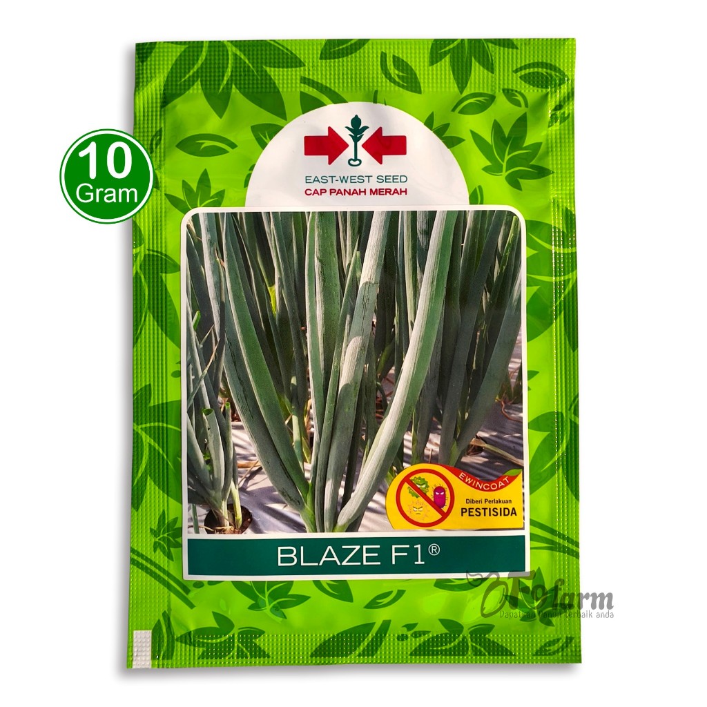 Benih Daun Bawang BLAZE F1 Cap Panah Merah 10 gram