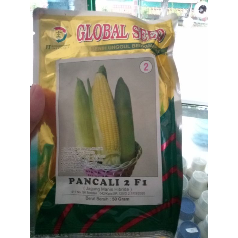 BENIH JAGUNG MANIS HIBRIDA PANCALI 2 F1 GLOBAL SEED 50GR