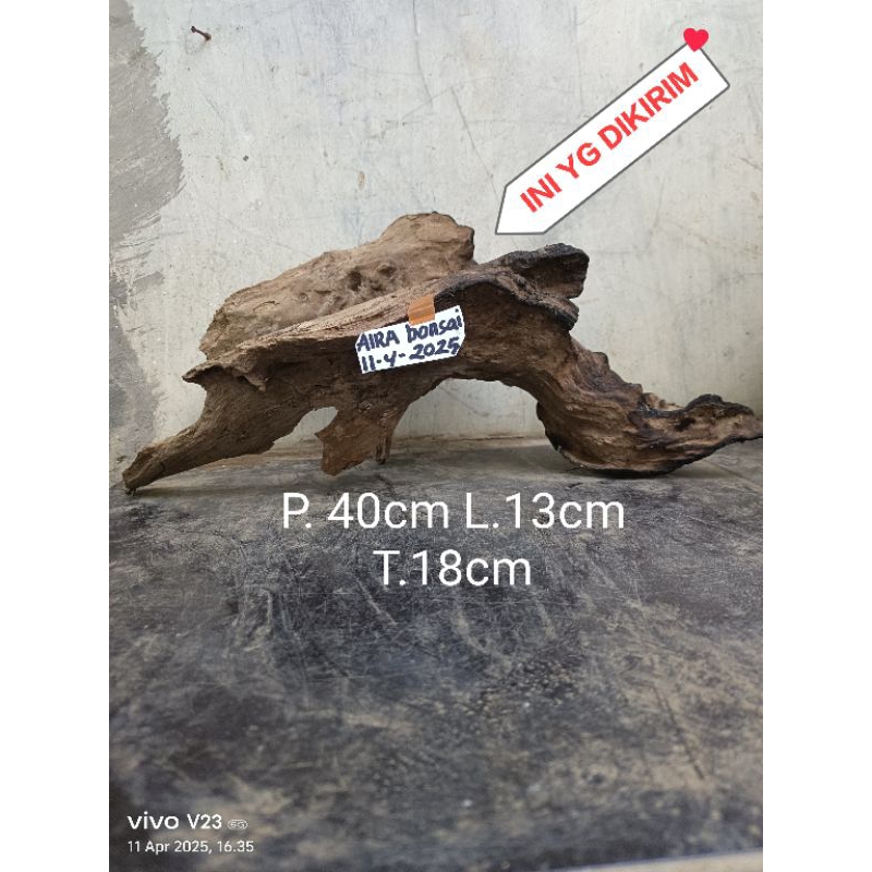 kayu rentek besar aquascape, tongkrongan reptil