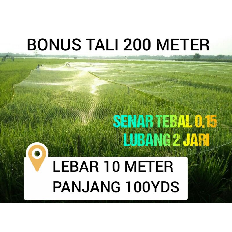 JARING JUMBO JARING SAWAH JARING PADI LEBAR 10 METER PANJANG ±90 METER BONUS 2 TALI TERMURAH JARING 