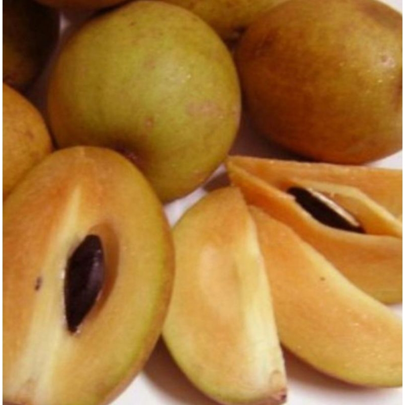 

sawo madu manis segar fresh 1kg