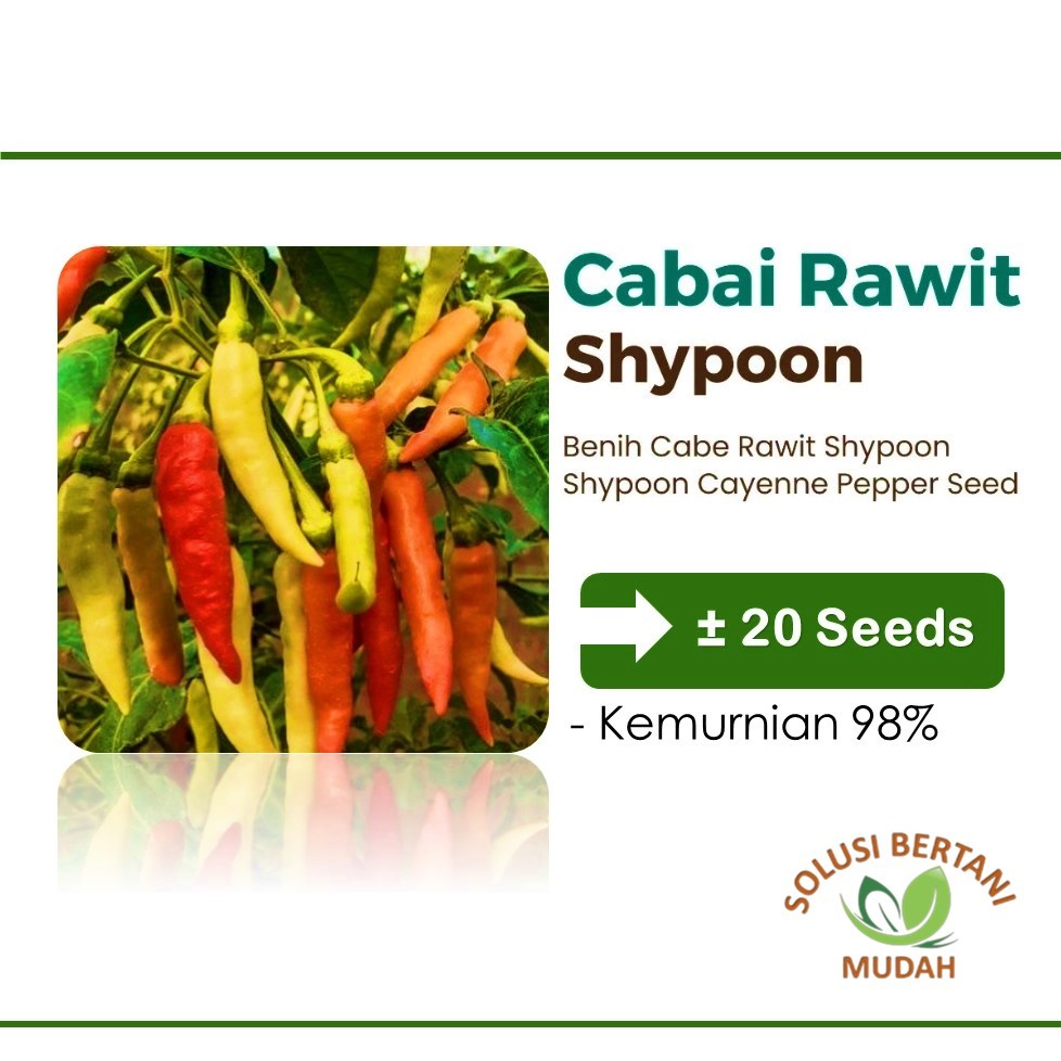 Bibit Biji Benih Sayuran  Cabe Rawit Shypoon Hibrida