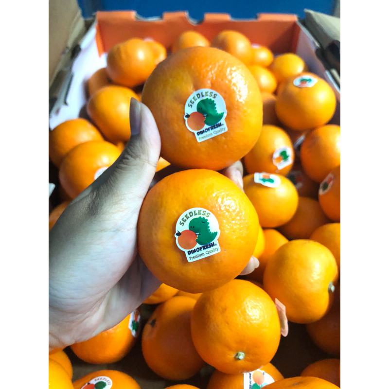 

Jeruk Wogan Dinofresh Seedless /kg
