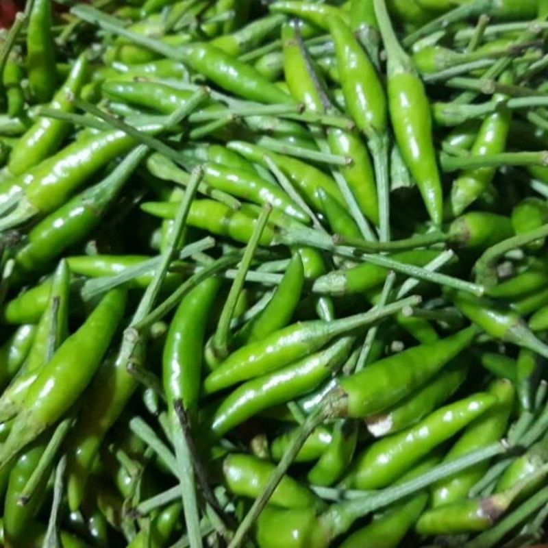 

Cabe Rawit Hijau 1 kg Cabai Ijo