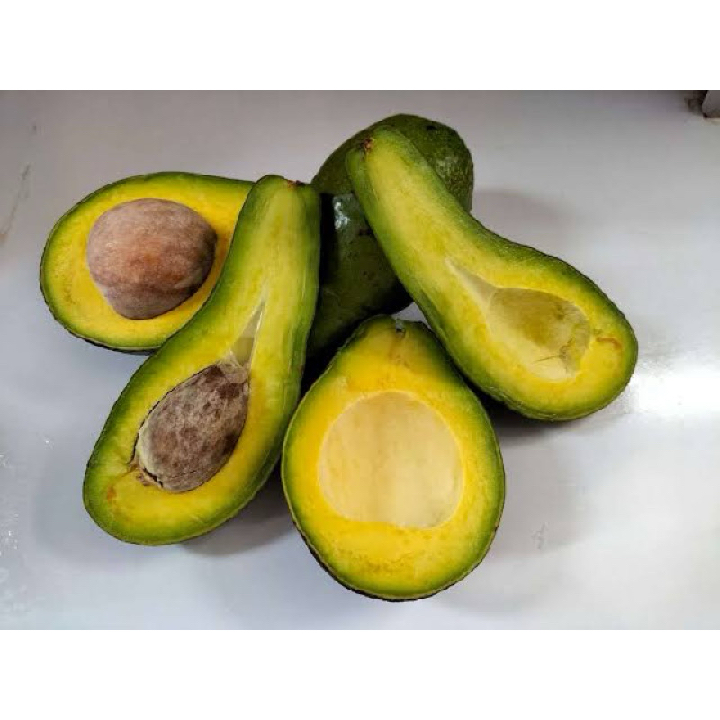 

alpukat 1kg 5-7 buah (dikirim saat masih mentah jadi tdk busuk)