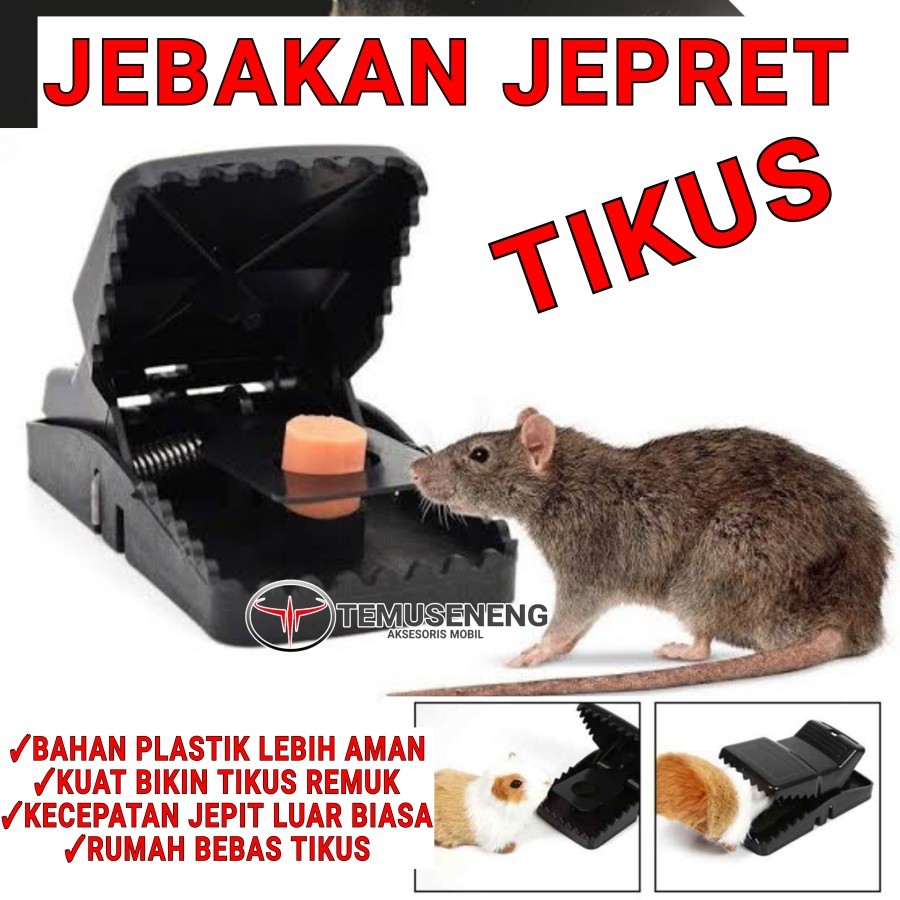 Jebakan Tikus Jepret Tikus Jepit tikus Jepitan Tikus Perangkap Tikus Jepretan Tikus Bahan Plastik