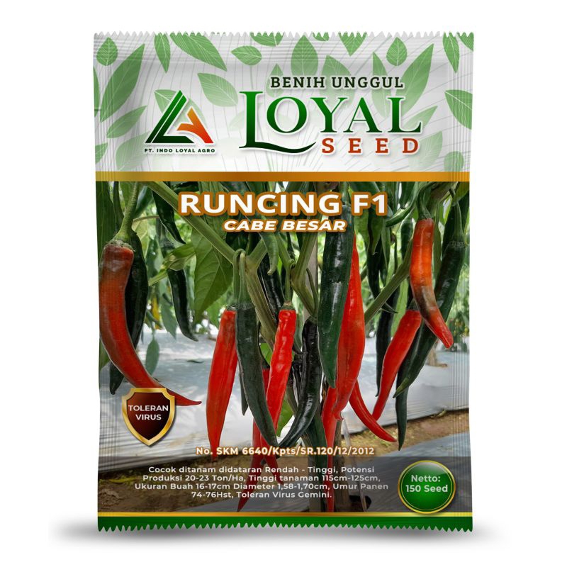 BENIH CABE BESAR RUNCING F1 KEMASAN 150 BUTIR BIBIT CABE RUNCING F1 CAP LOYAL SEED BENIH UNGGUL DAN 