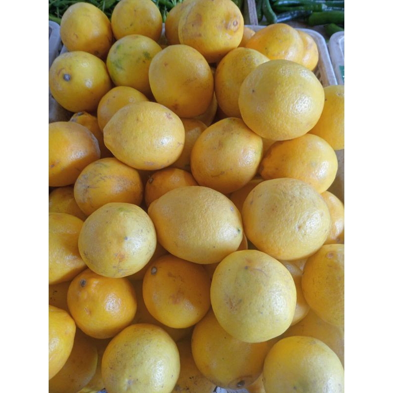 

jeruk lemon jeruk lemun herbal 500gr 1000gr