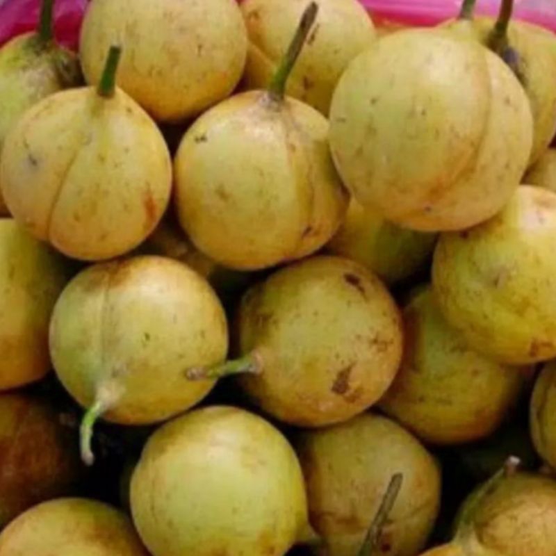 

Buah Pala Segar 1kg / Buah