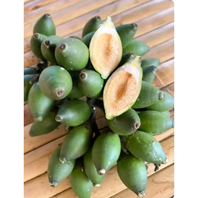 

pinang muda jus jambe muda pres 1kg bergaransi