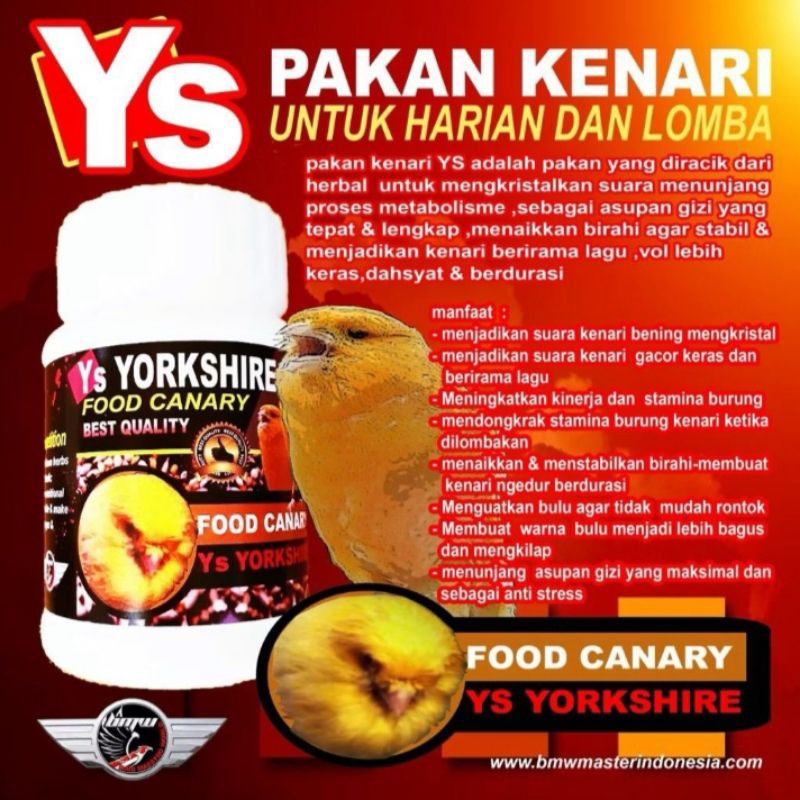 Pakan kenari ys lomba