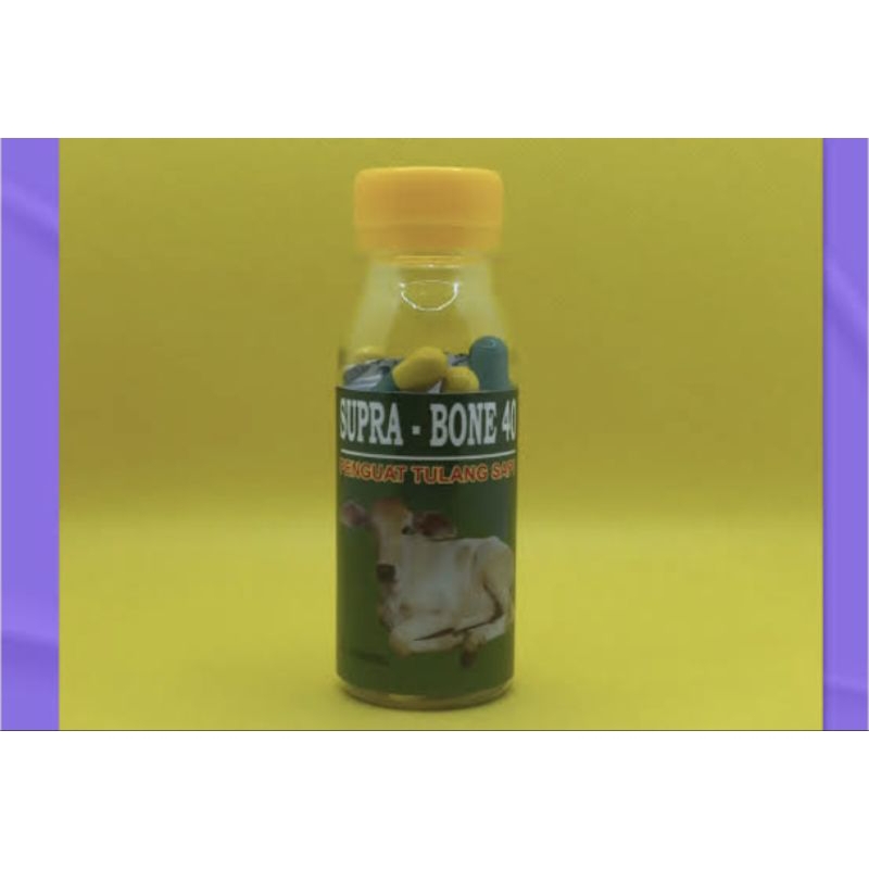 Supra bone penguat tulang obat sapi kambing kuda kerbau lumpuh pincang