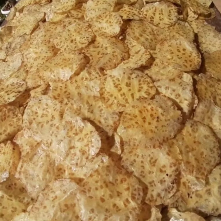 

KERUPUK JENGKOL PADANG MENTAH SIAP GORENG/ SUPER QUALITY /100% ORIGINAL / REPACK 100gr 250gr 500gr