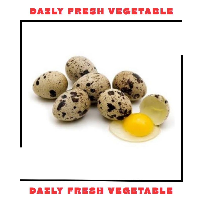 

Telur Puyuh Fresh 250gr