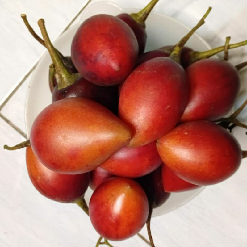 

terong belanda segar cocok untuk di buat jus isi 1 kg