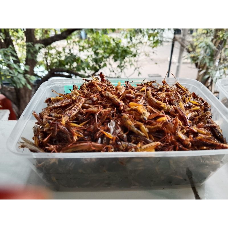 

Belalang utes pedas gurih kemasan 750ml