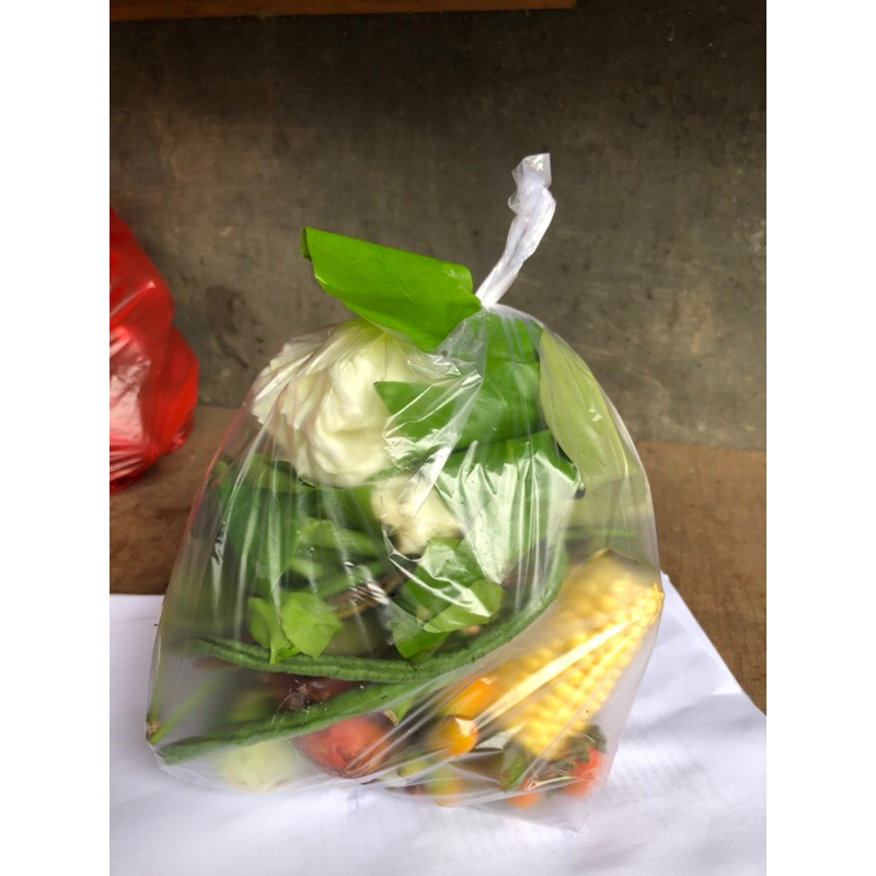 

Sayur Asem
