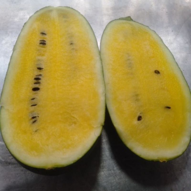 

Buah Semangka kuning berat 1,2-1,5 Kg