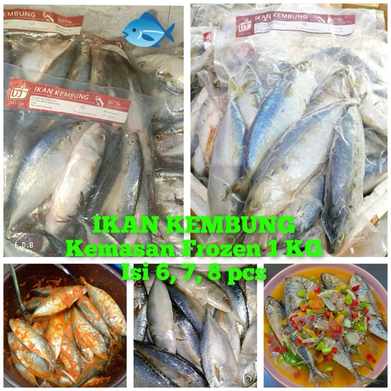 

Ikan Kembung Banjar 1kg isi 6-7