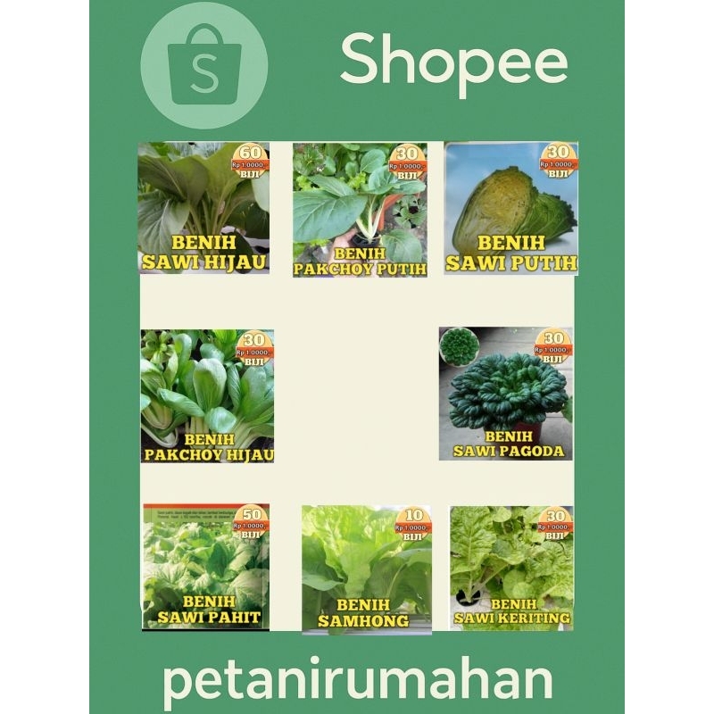 Biji Bibit Benih Semua Jenis Sawi Lengkap Manis Hijau Putih Pakchoy Samhong Pagoda Keriting Pahit Bu